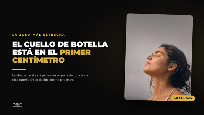 Válvula Nasal: Qué Es y Cómo Saber si Ese Es tu Problema