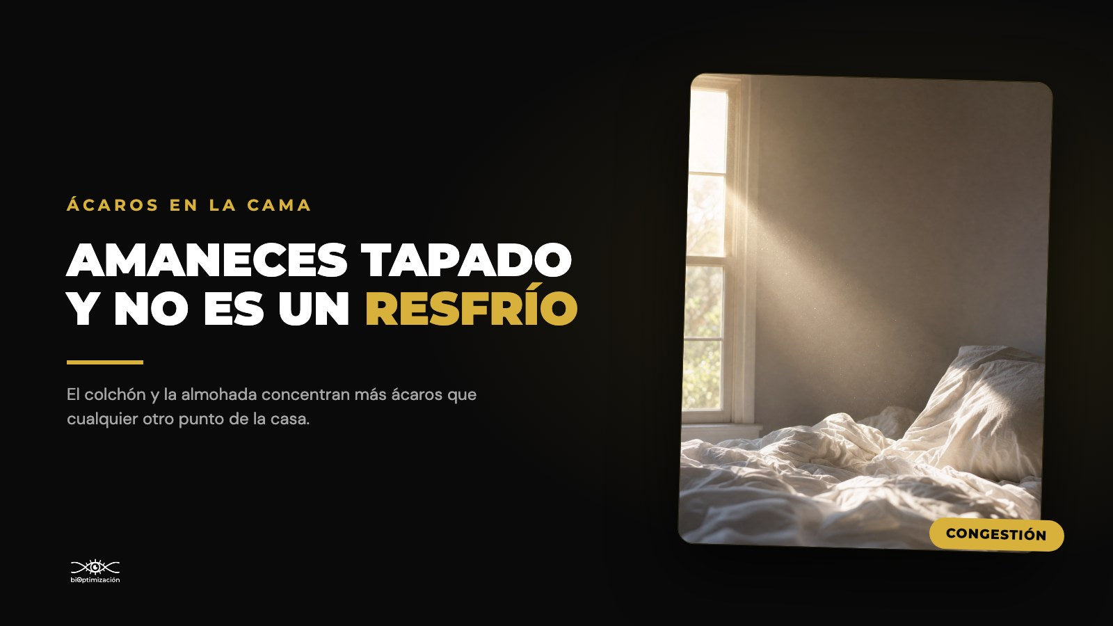 Ácaros en la Cama: Por Qué Amaneces Tapado y Cómo Reducirlos