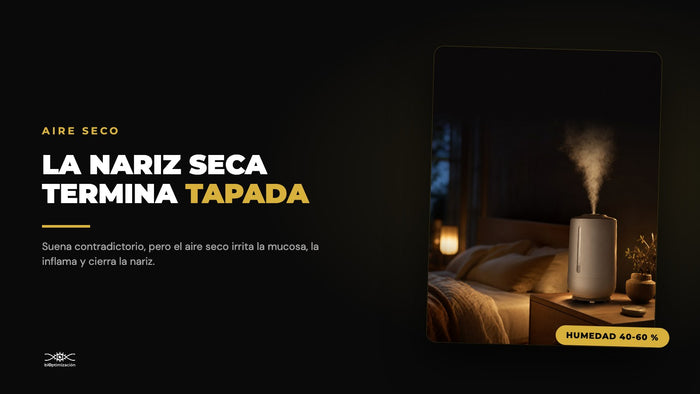 Aire Seco: Nariz Reseca, Costras y Sangrado (y la Humedad Ideal)