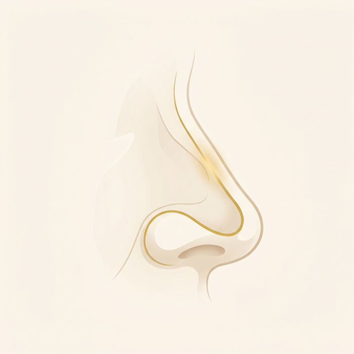 La válvula nasal: el cuello de botella